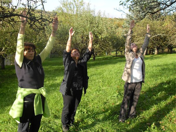 3 Kursteilnehmer auf grüner Wiese
